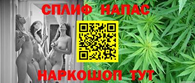 spice Камышлов