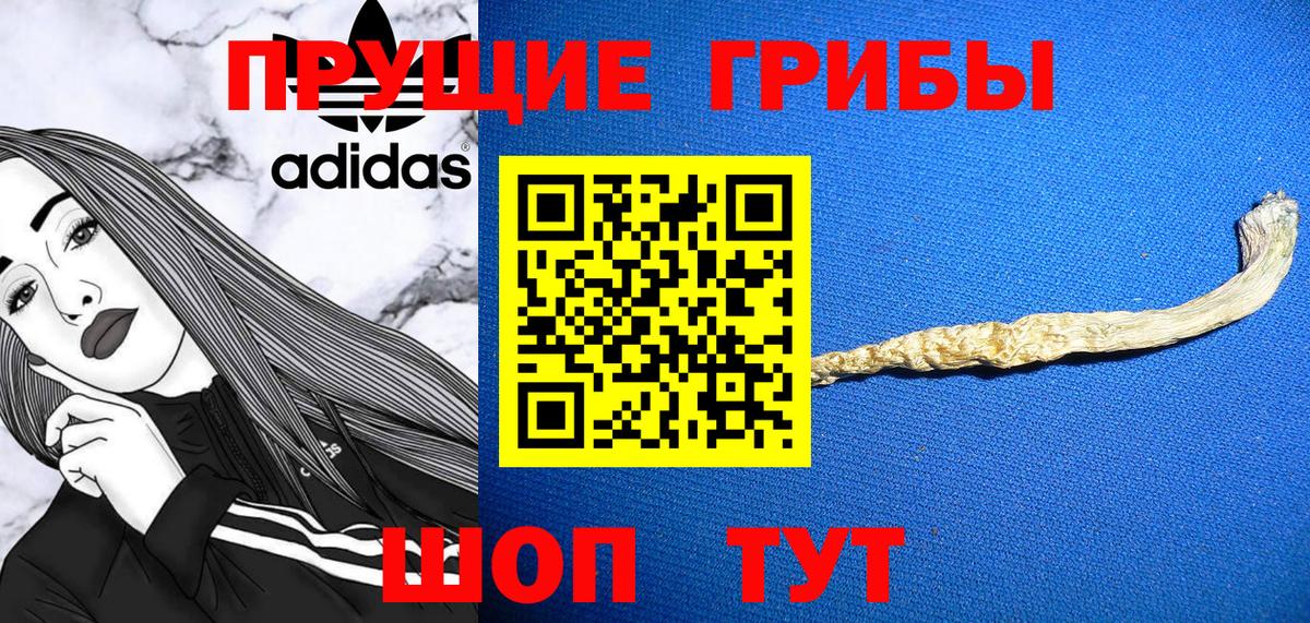 Псилоцибиновые грибы GOLDEN TEACHER Королёв