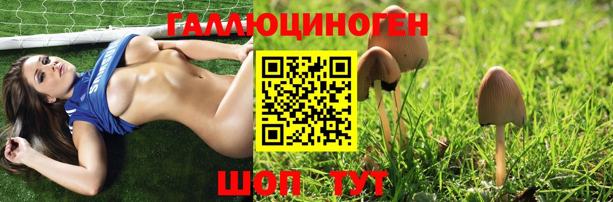 Королёв  Галлюциногенные грибы ЛСД  Вход с VPN 